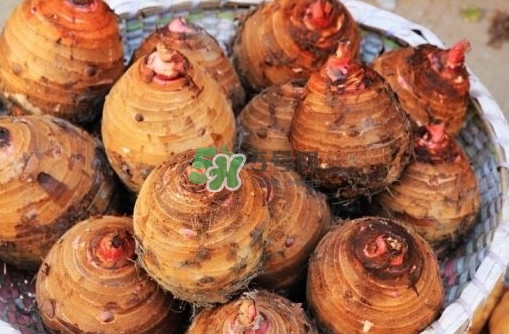 香芋是紫薯嗎？香芋和紫薯有什么區(qū)別