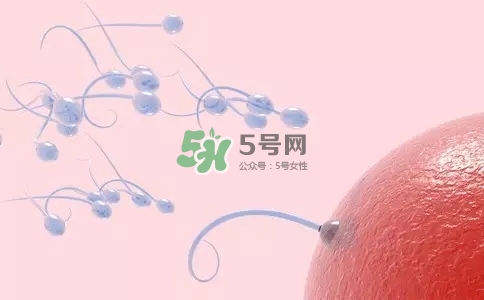 精子在女性體內(nèi)可以存活多久？男性的精子會枯竭嗎？