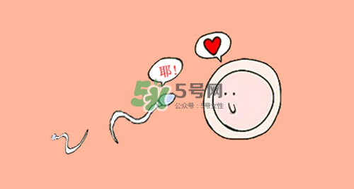 精子在女性體內(nèi)可以存活多久？男性的精子會枯竭嗎？