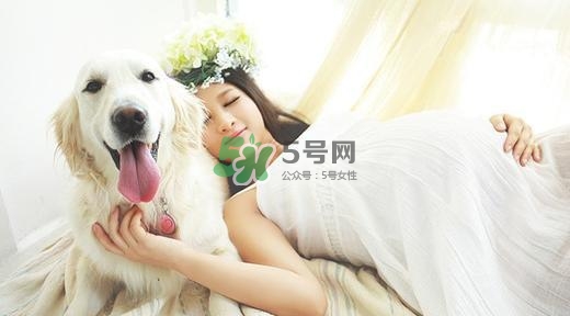 孕婦不能養(yǎng)寵物嗎？為什么孕婦不能養(yǎng)寵物？