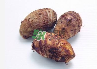 香芋如何種植？香芋的種植方法