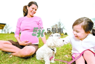 孕婦能養(yǎng)狗嗎？孕婦養(yǎng)狗注意事項