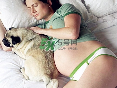 孕婦不能養(yǎng)寵物嗎？為什么孕婦不能養(yǎng)寵物？