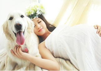 孕婦不能養(yǎng)寵物嗎？為什么孕婦不能養(yǎng)寵物？