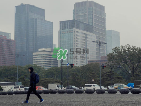 citera是什么牌子？citera是什么檔次？