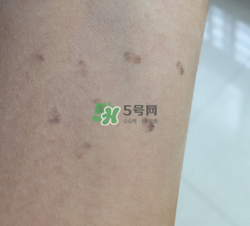 bobbi brown粉餅多少錢？芭比波朗粉餅價格