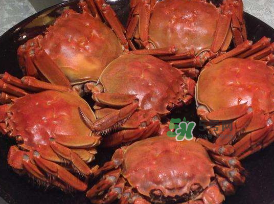 盤錦河蟹批發(fā)市場(chǎng)在哪？盤錦河蟹哪里最正宗？