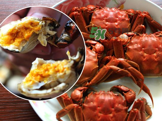 盤錦河蟹批發(fā)市場(chǎng)在哪？盤錦河蟹哪里最正宗？