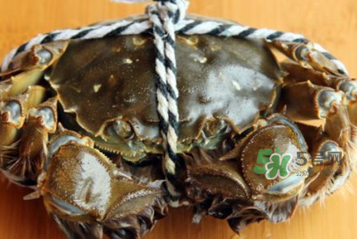 大閘蟹為什么要綁？大閘蟹怎么捆？