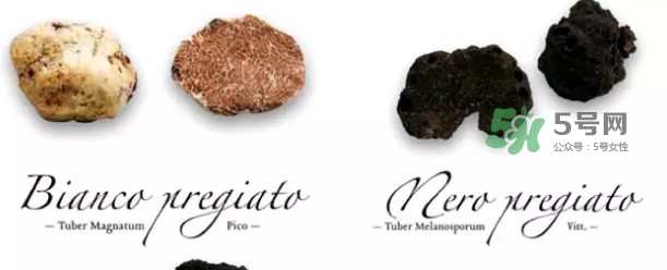 世界上評(píng)價(jià)較高的松露品種是什么？白松露和黑松露哪個(gè)好