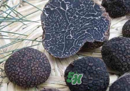 松露為什么那么貴？松露為什么這么貴？