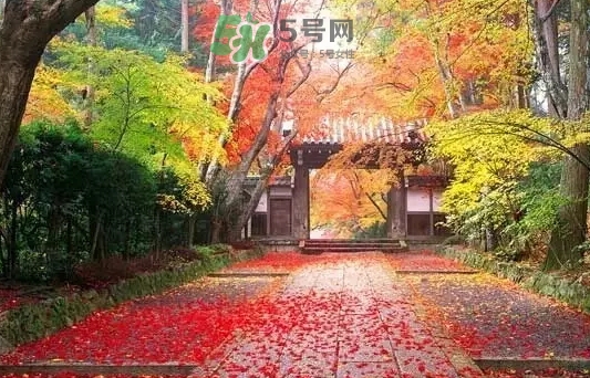 白露是寒露嗎？白露和寒露的區(qū)別