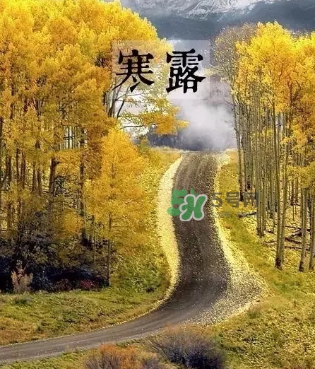 白露是寒露嗎？白露和寒露的區(qū)別