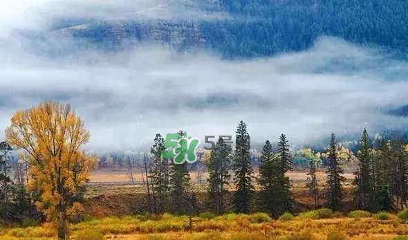 白露是寒露嗎？白露和寒露的區(qū)別