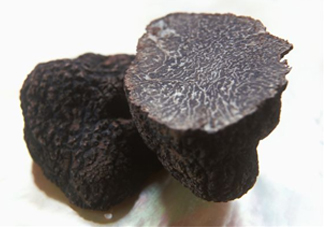 松露為什么那么貴？松露為什么這么貴？