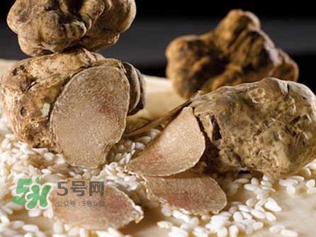 松露為什么那么貴？松露為什么這么貴？