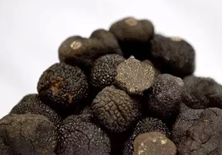 世界最大的松露是在哪個(gè)國家發(fā)現(xiàn)的？松露怎么吃