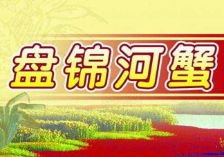 盤(pán)錦河蟹批發(fā)市場(chǎng)在哪？盤(pán)錦河蟹哪里最正宗？