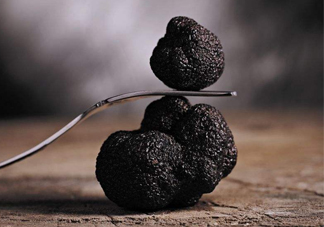 松露是什么味道？松露到底有多好吃