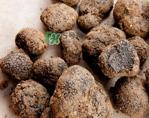松露是什么樣子的？松露是怎么形成的