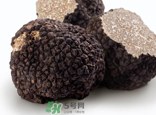 松露產(chǎn)地在哪里？松露有什么作用