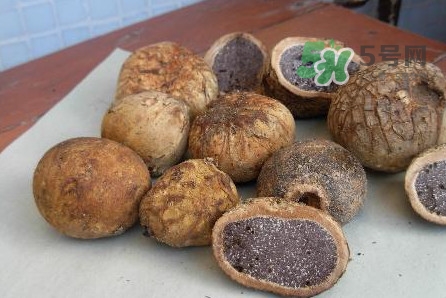 松露是保健品嗎？松露怎么保存