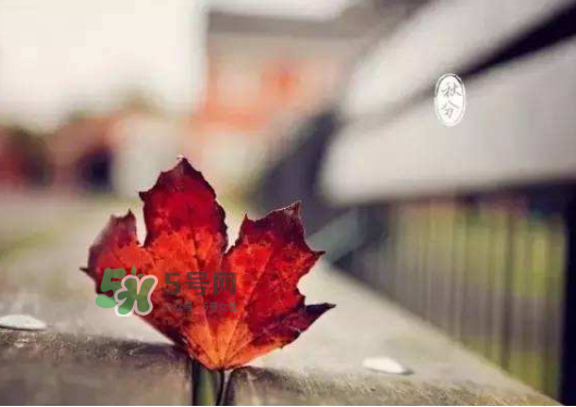 2017秋分還熱嗎？2017年秋分以后還熱嗎？