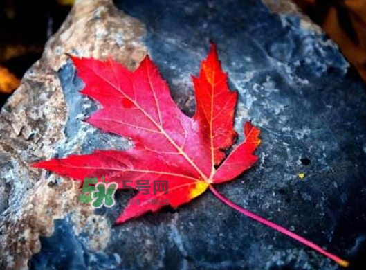 2017秋分還熱嗎？2017年秋分以后還熱嗎？