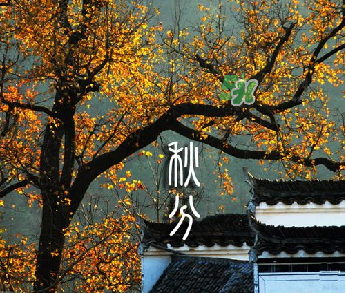 2017秋分會下雨嗎？2017秋分下雨好不好？