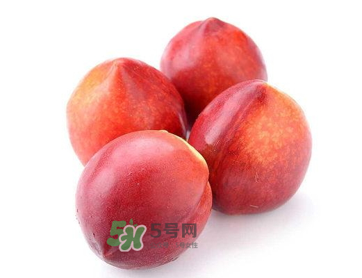 九月份還有桃子嗎？9月份成熟的桃子有幾種？