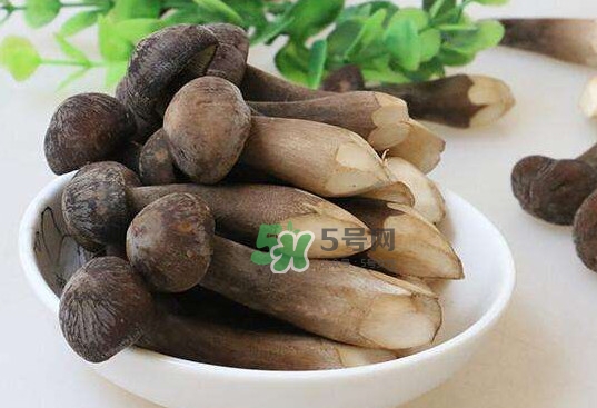 雞樅菌和松茸哪個更好？雞樅菌有什么營養(yǎng)