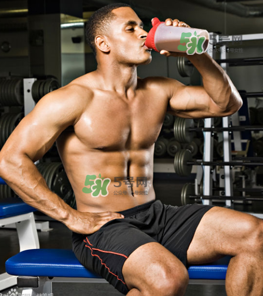 練肌肉一定要吃蛋白粉嗎？健身一定要吃蛋白粉嗎？