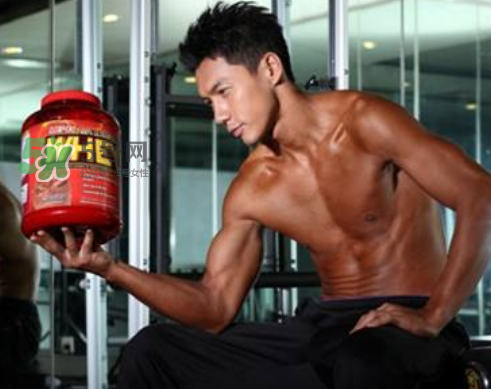 蛋白粉和增肌粉有什么區(qū)別？蛋白粉和增肌粉能一起吃嗎？