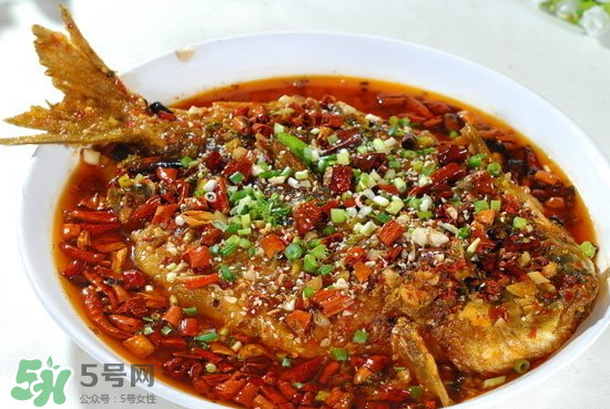 黑魚能愈合傷口嗎？黑魚為什么對傷口愈合？