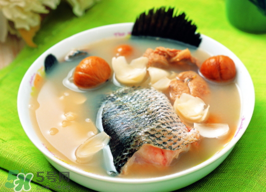 黑魚能愈合傷口嗎？黑魚為什么對傷口愈合？