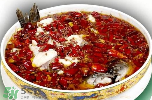 鯉魚可以做水煮魚嗎？水煮鯉魚的做法