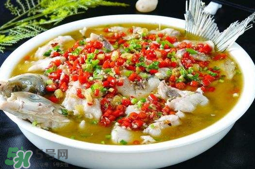 鯉魚可以做水煮魚嗎？水煮鯉魚的做法