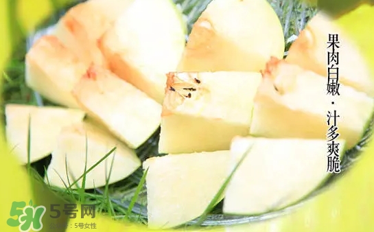 綠寶石梨多少錢一斤？綠寶石梨價格表