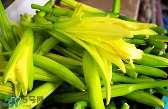 黃花菜開花了還能吃嗎？開花的黃花菜可以吃嗎