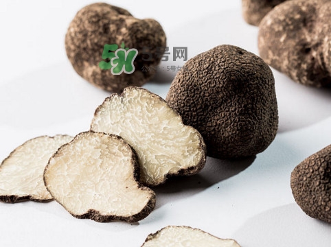 松露對(duì)女人有什么好處？松露對(duì)男人有什么好處