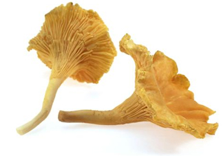 雞油菌怎么清洗？雞油菌要焯水嗎