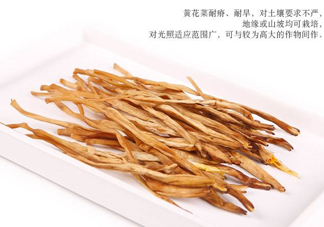 新鮮黃花菜怎么保存？干黃花菜怎么保存