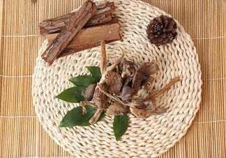 雞樅菌和松茸哪個(gè)更好？雞樅菌有什么營養(yǎng)