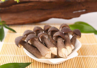 雞樅菌什么人不能吃？雞樅菌哪些人能吃