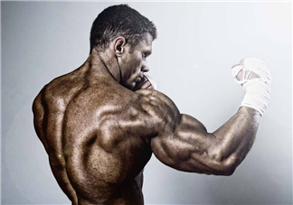 蛋白粉和增肌粉有什么區(qū)別？蛋白粉和增肌粉能一起吃嗎？