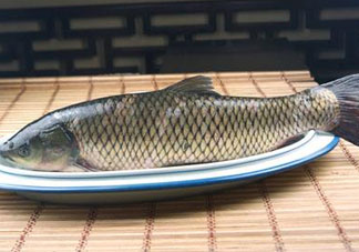 黑魚可以清蒸嗎？黑魚蒸多久？