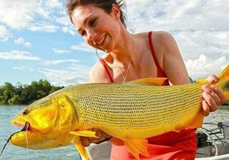 9月份釣什么魚？9月份釣草魚嗎？