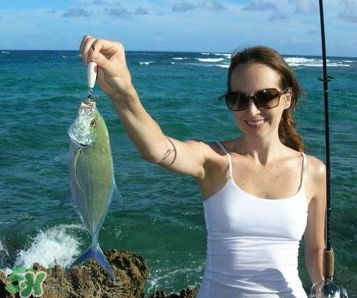 9月份釣什么魚？9月份釣草魚嗎？