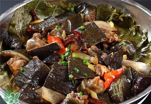 甲魚湯下奶嗎？下奶的食物有哪些？