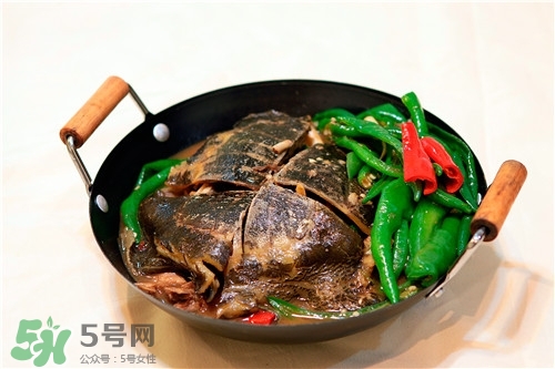 甲魚湯是涼性的嗎？甲魚湯的禁忌人群